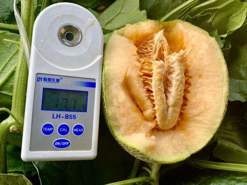 今日吃瓜合集,娱乐圈风云再起，热点事件盘点